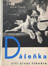 Dasenka cili zivot stenete 1942　ダーシェンカ　カレル・チャペック　Dášeňka čili život štěněte