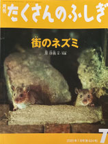 街のネズミ　たくさんのふしぎ　424号