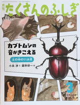 カブトムシの音がきこえる　たくさんのふしぎ396号