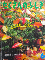 ここにも、こけが・・・　たくさんのふしぎ195号