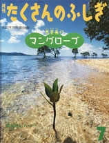 西表島のマングローブ　横塚眞己人　たくさんのふしぎ268号