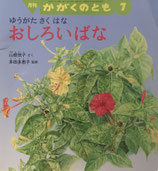 ゆうがたさくはな　おしろいばな　かがくのとも496号
