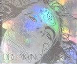 DREAMING IN PRINT A DECADE OF VISIONAIRE