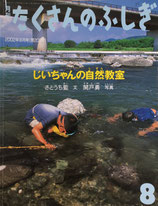 リサイクル図書　たくさんのふしぎ　イェータ運河を行く　スウェーデン　運河の旅 リサイクル図書 たくさんのふしぎ イェータ運河を行く