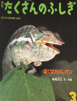 ぼくはカメレオン　たくさんのふしぎ144号