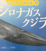 シロナガスクジラ　かがくのとも585号