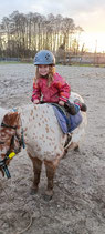 Pony Spaziergang