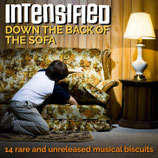 Intensified - Down The Back Of The Sofa - LP