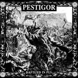 Pestigor - Baptized In Pus - LP