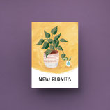DIN A4 Druck" New Plan(t)s"