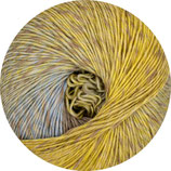 Linie 521 Vitoria - Farbe 6