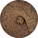 Linie 521 Vitoria - Farbe 8