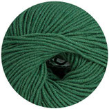 Linie 110 Timona - Farbe 41