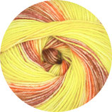 Linie 12 Street Design Color - Farbe 130