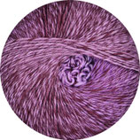 Linie 521 Vitoria - Farbe 9