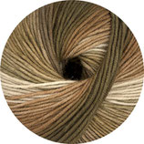 Linie 4 Starwool Design Color - Farbe 211