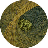 Linie 521 Vitoria - Farbe 3