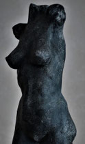 Torso dunkel