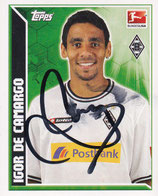 Igor De Camargo  TO 462