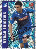 Vedad Ibisevic  TO 289