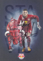 Cican Stankovic   10423