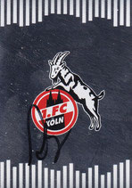 Autogramm auf Vereinslogo  TO  4014
