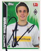 Patrick Herrmann  TO 461