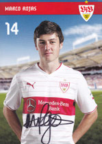 Marco Rojas  3105