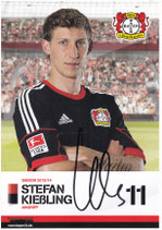 Stefan Kießling  7174
