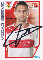Vedad Ibisevic  TO  1061