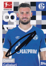 Daniel Caligiuri  TO  4706