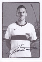 Vedad Ibisevic  3041