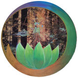 Die Waldfee und ihre Magie