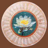 Seerose Weissensee