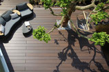 Dreamdeck WPC Platinum