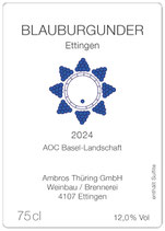 Ettinger Blauburgunder