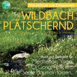 Wildbach plätschernd - Naturklänge zur Entspannung & Wellness (Tunesdy-Bestellnummer: SN03)