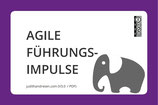 PDF "Agile Führungsimpulse"