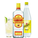 GIN TONIC KIT GORDON'S