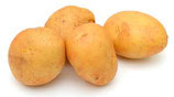PATATE