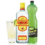 GIN LEMON KIT GORDON'S