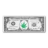 Filter Dollarnote