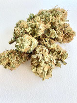 Gelato