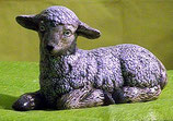 Schaf liegend