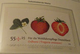 Bund 2777   55 + 25 ct Gartenerdbeere    skl  **