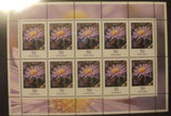 Bund 2463 50 ct KLB Aster **