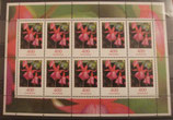 Bund 3190 Klb 400 ct Fuchsie