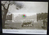 Repro Ansichtskarte - Hamburg - Eimsbüttel  Kuhweide