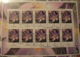 Bund 2480 5 ct KLB Krokus **
