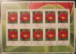Bund 3114 Klb 62 ct Pfingstrose